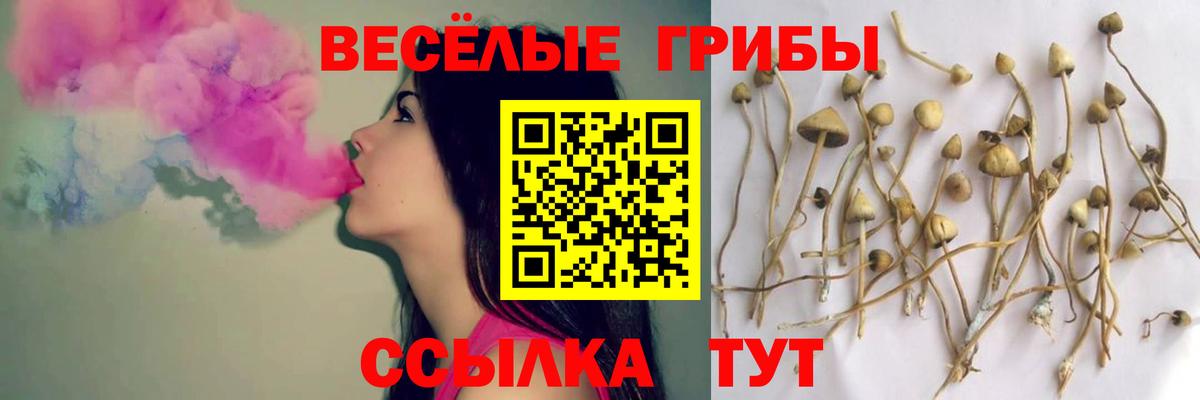 Нарткала  Псилоцибиновые грибы Magic Shrooms  Вход с VPN 